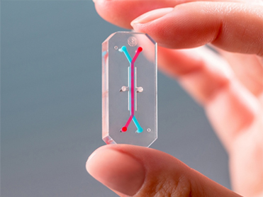 drug development